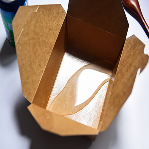 Disposable Compostable Kraft Paper food container